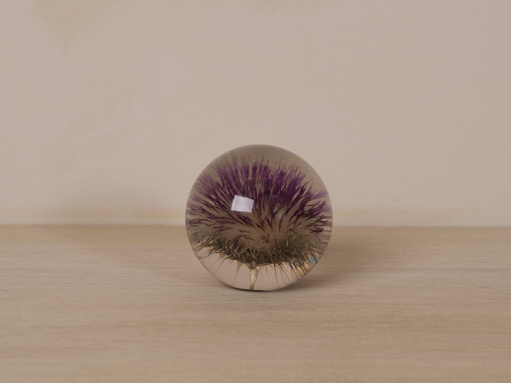 Hafod Grange Paperweight Open Thistle Paperweight