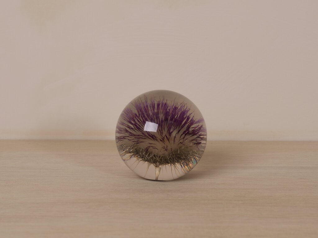 Hafod Grange Paperweight Thistle Paperweight, Large