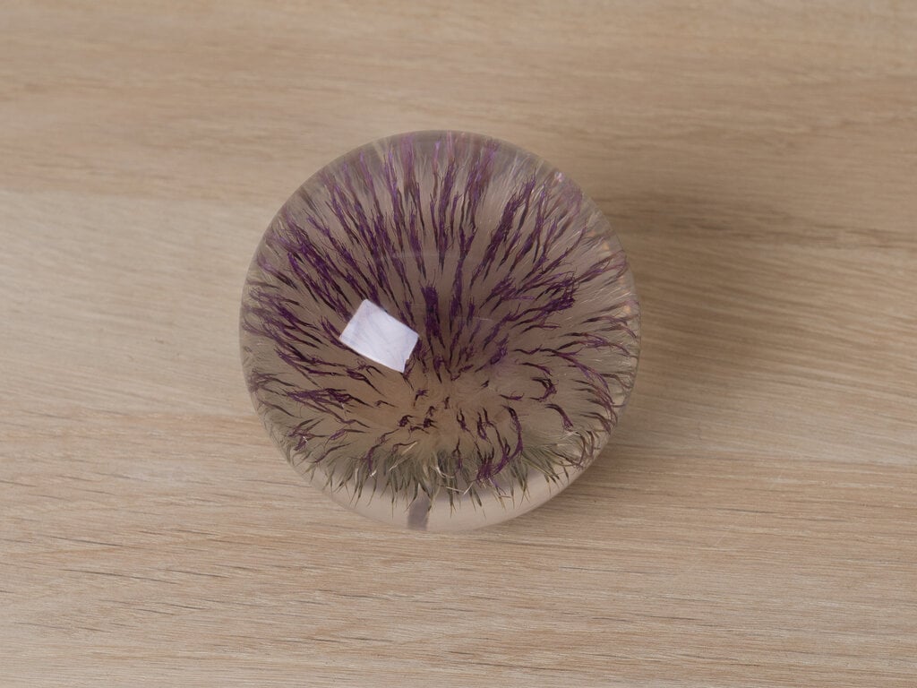 Hafod Grange Paperweight Open Thistle Paperweight