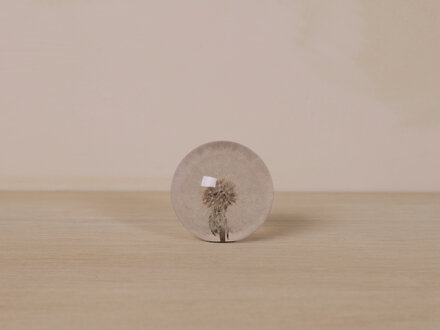 Hafod Grange Paperweight Dandelion Paperweight
