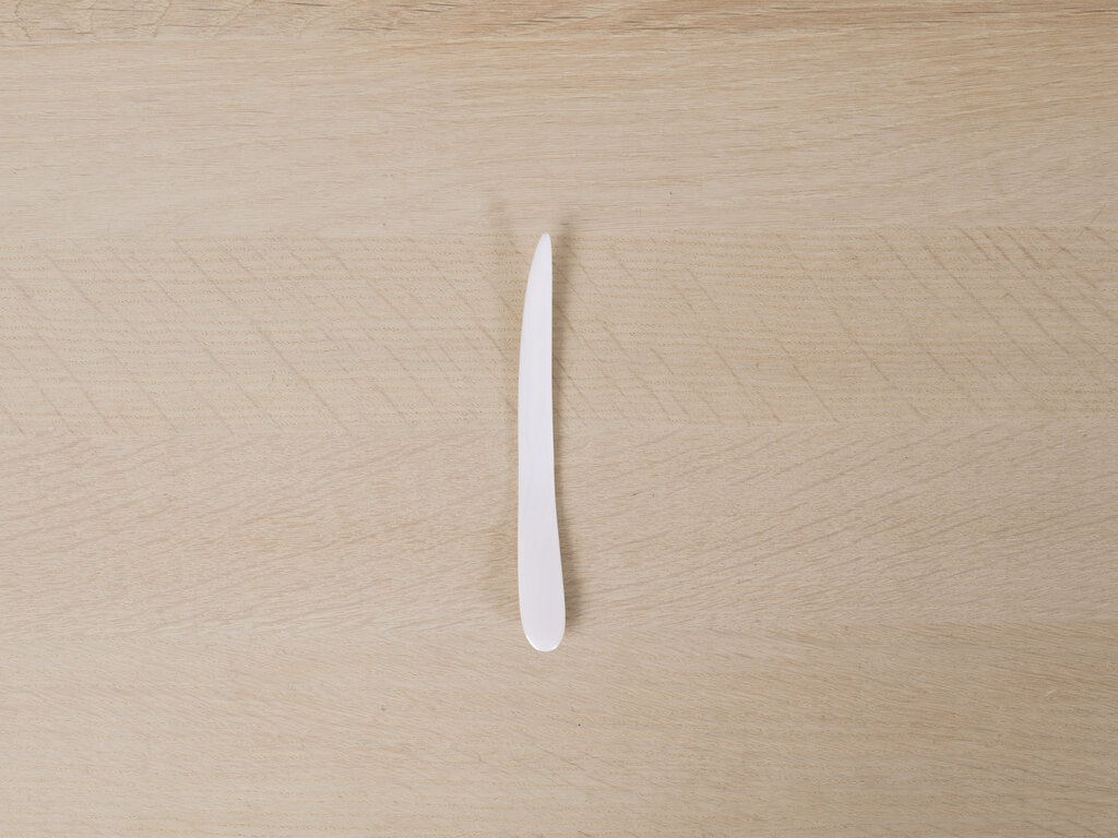 Jurgen Lehl Hand Carved Shell Pick