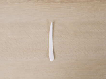 Jurgen Lehl Hand Carved Shell Pick