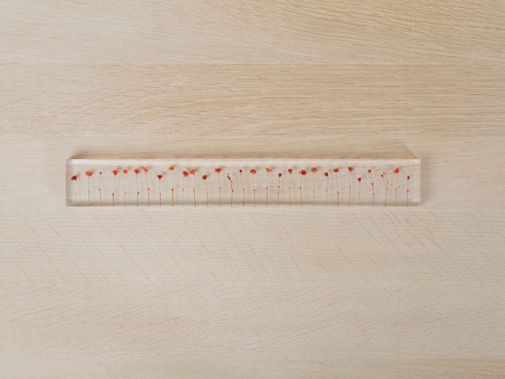 Studio Note f,l,o,w,e,r,s Ruler