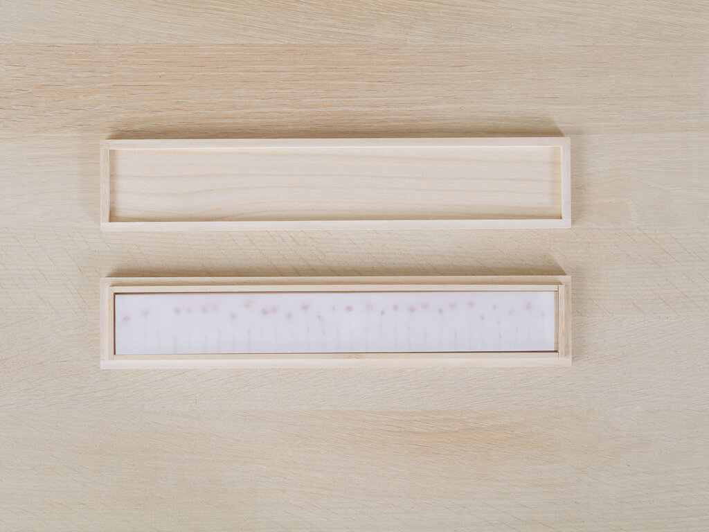 Studio Note f,l,o,w,e,r,s Ruler