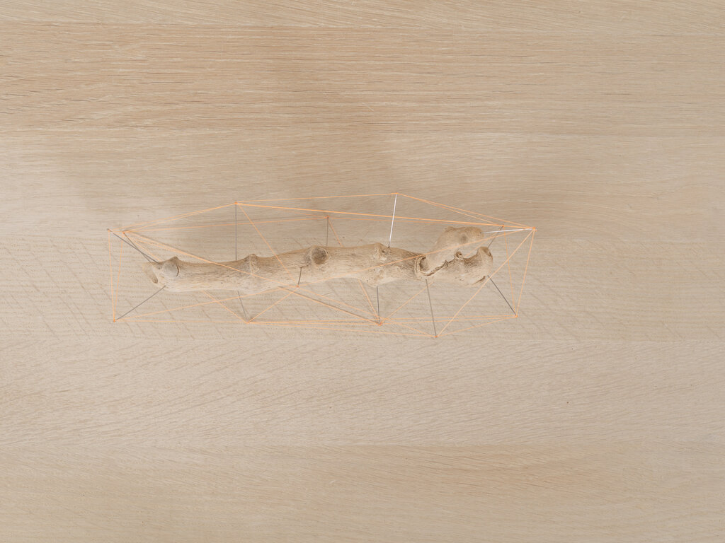 Studio Note "Driftwood 7"
