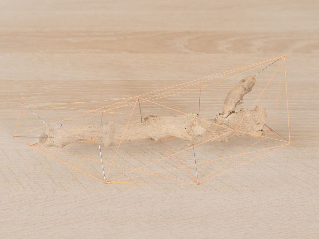 Studio Note "Driftwood 7"