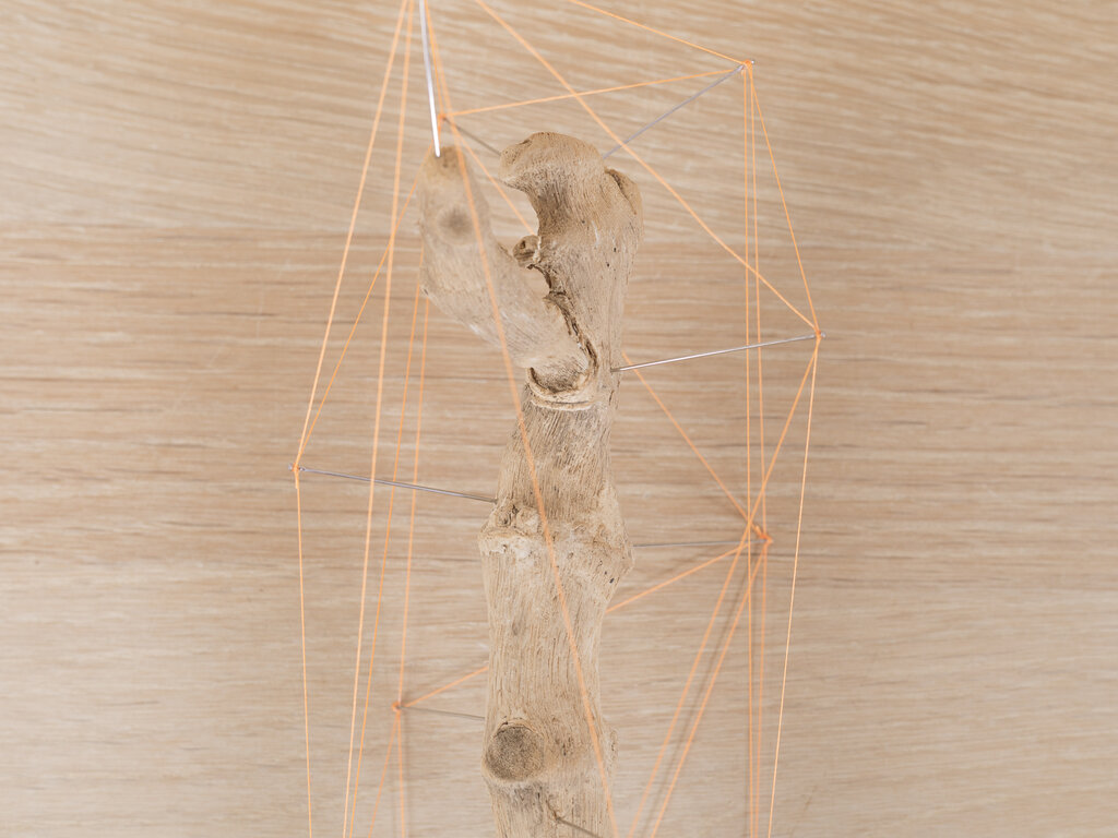 Studio Note "Driftwood 7"
