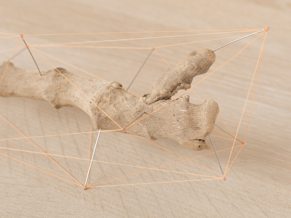 Studio Note "Driftwood 7"