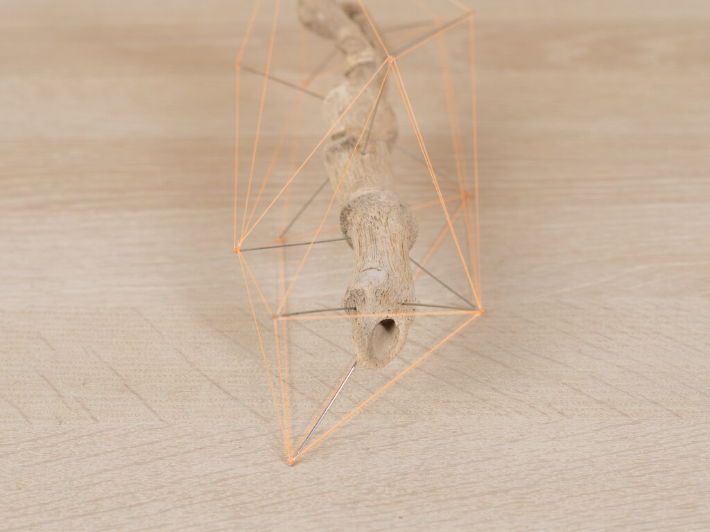 Studio Note "Driftwood 7"