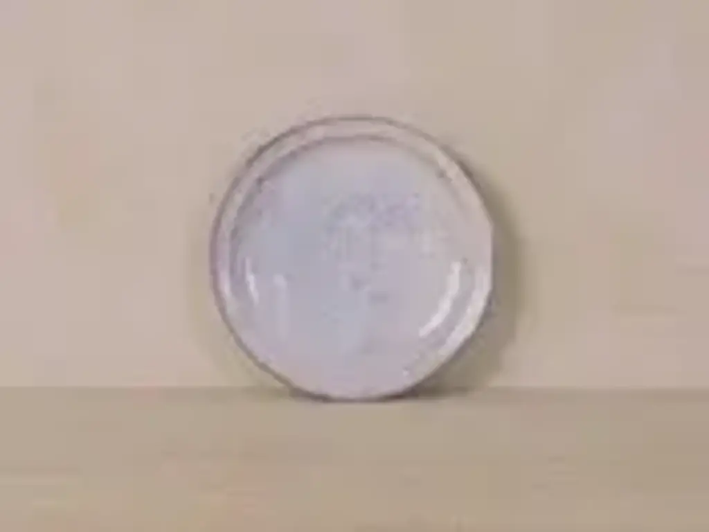 Yoji Yamada Large Rim Plate 28