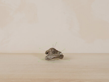 Studio Note "Driftwood 3"