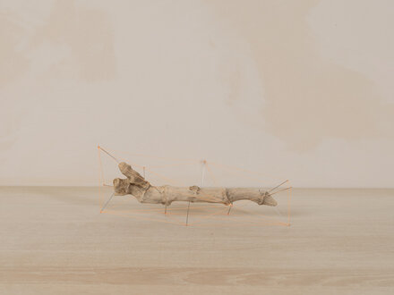 Studio Note "Driftwood 7"