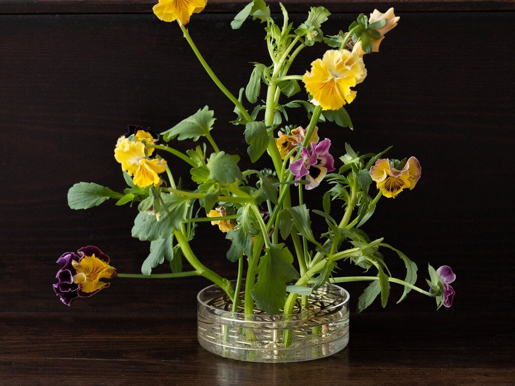 Eva Schildt for Klong Äng Pond Vase (Brass)
