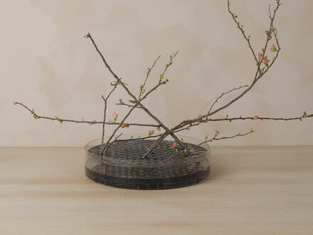 Eva Schildt for Klong Äng Mega in Verdigris Blue