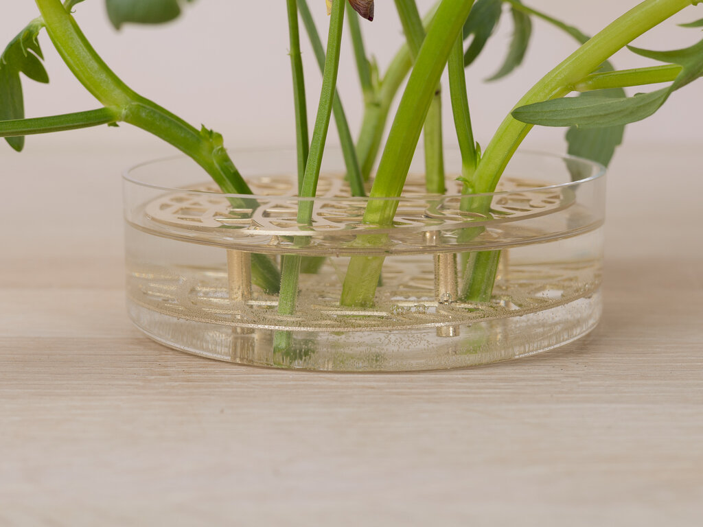 Eva Schildt for Klong Äng Pond Vase (Brass)