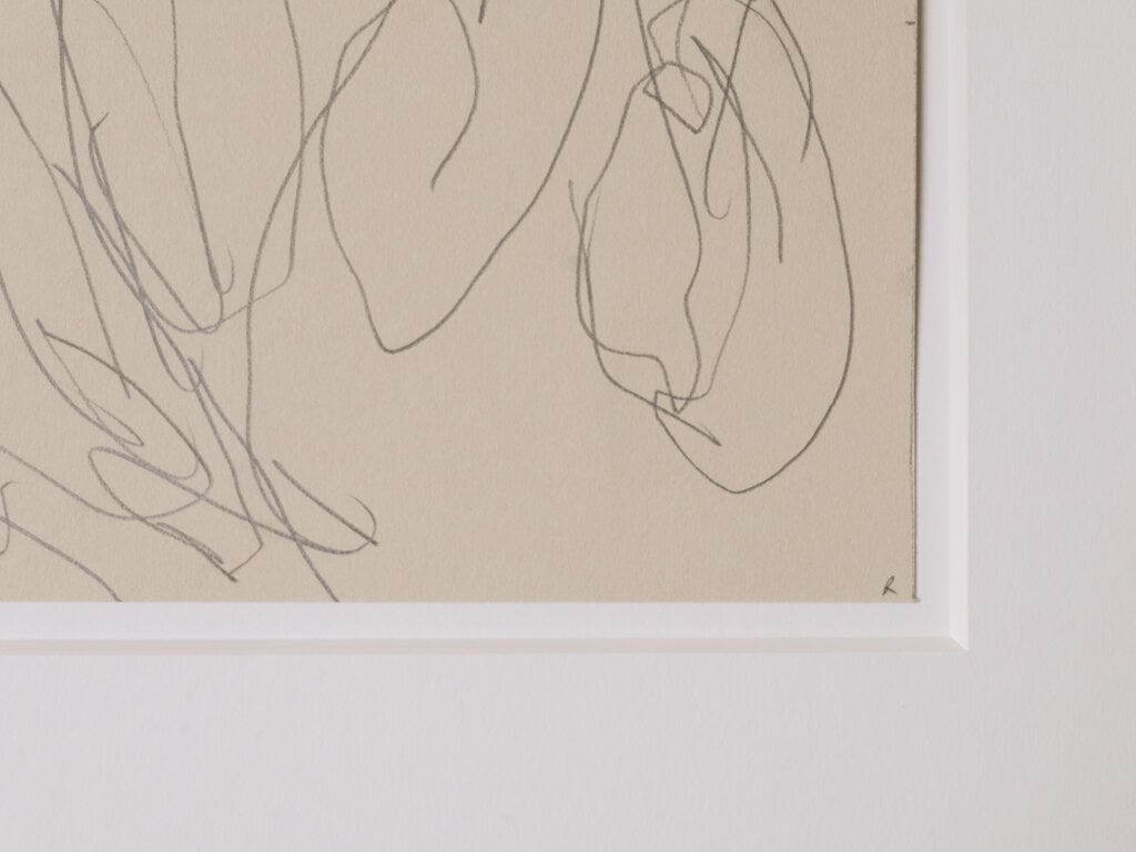 Ronan Sean-Ross Stewart Small Flower Drawing 532