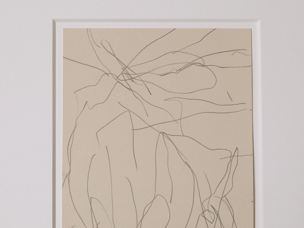 Ronan Sean-Ross Stewart Small Flower Drawing 532