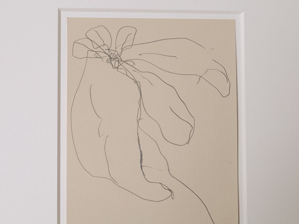 Ronan Sean-Ross Stewart Small Flower Drawing 531