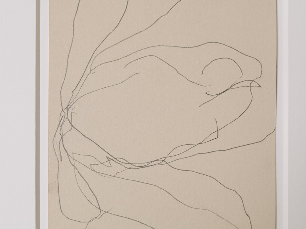 Ronan Sean-Ross Stewart Small Flower Drawing 533