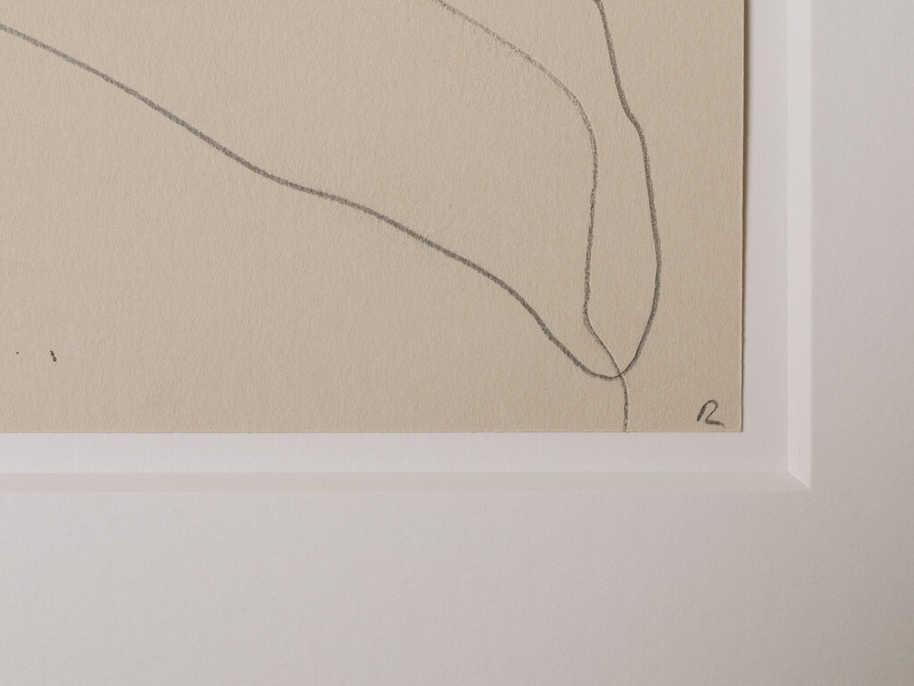 Ronan Sean-Ross Stewart Small Flower Drawing 533