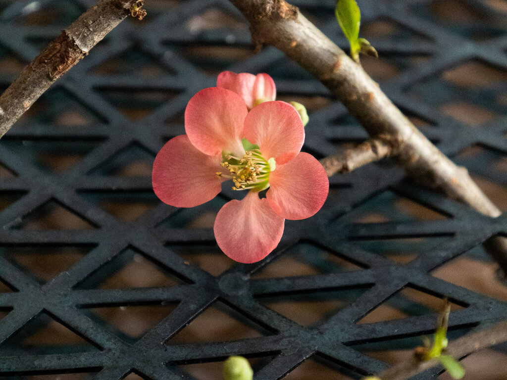Eva Schildt for Klong Äng Mega in Verdigris Blue