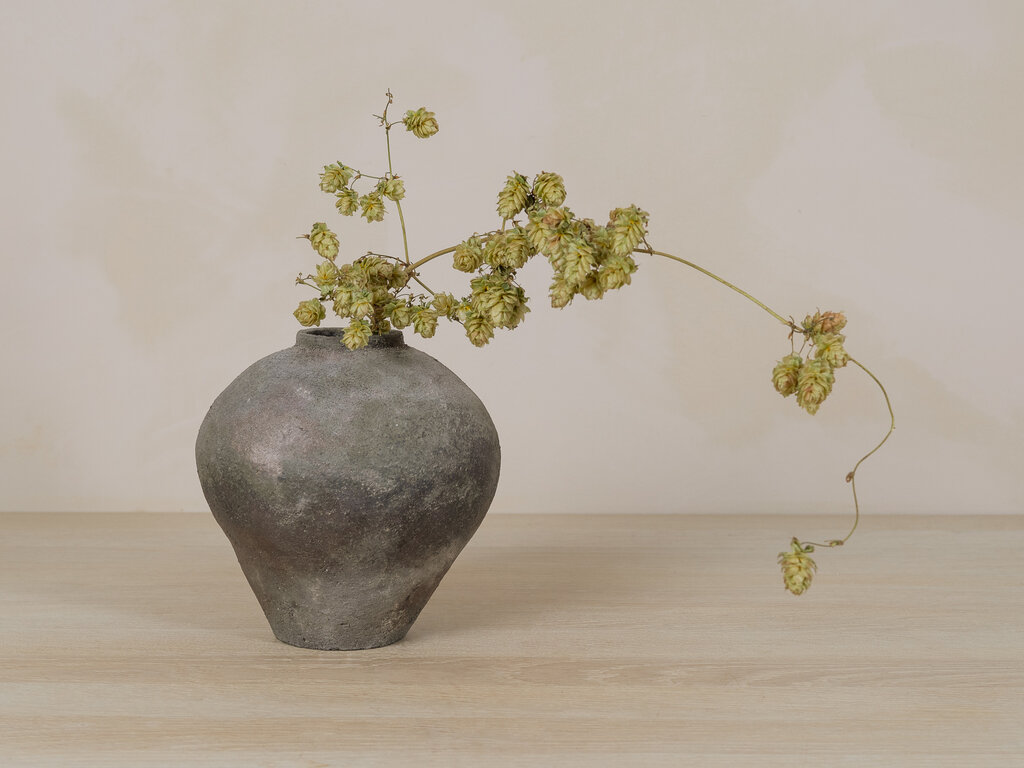 Rimpei Watanabe Bizen Jar No. 1