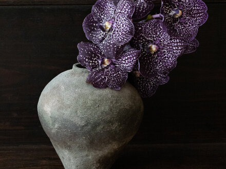 Rimpei Watanabe Bizen Jar No. 2