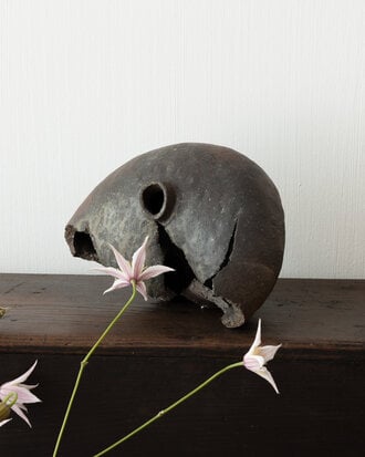 Introducing Rimpei Watanabe