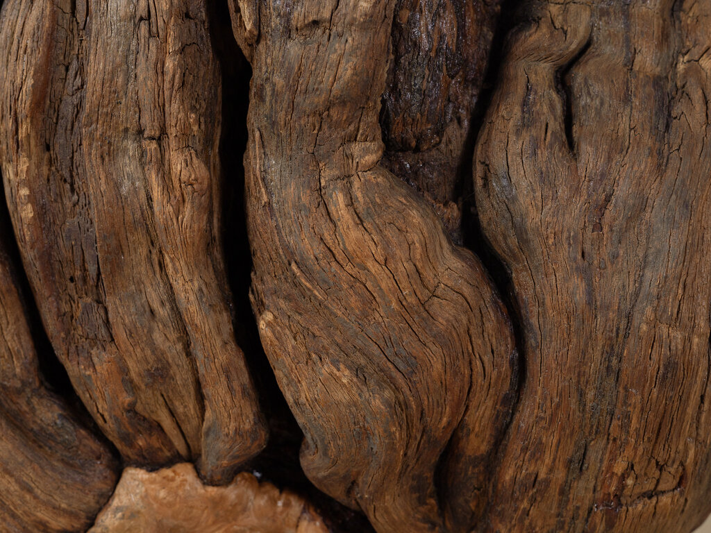 Antique Burl Slab Display