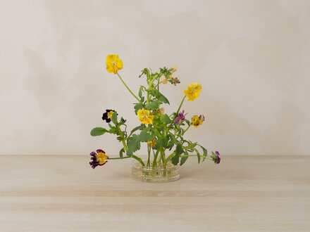 Eva Schildt for Klong Äng Pond Vase (Brass)