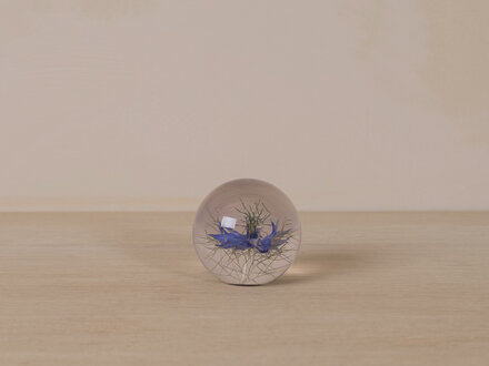 Hafod Grange Paperweight Nigella Paperweight