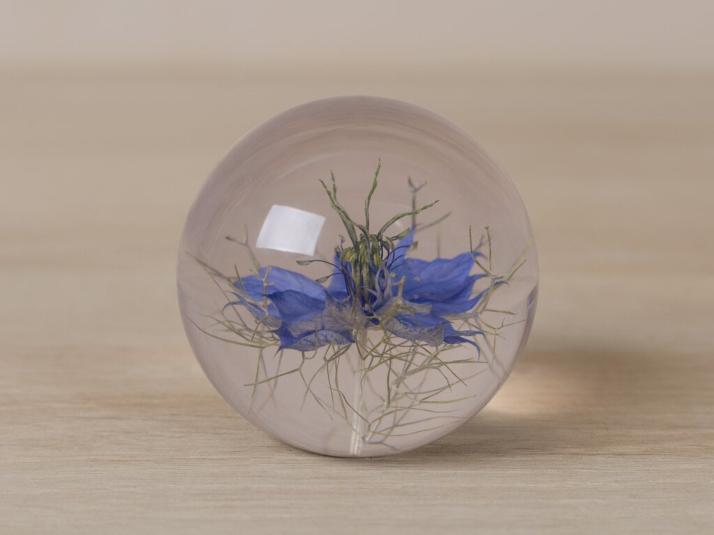 Hafod Grange Paperweight Nigella Paperweight
