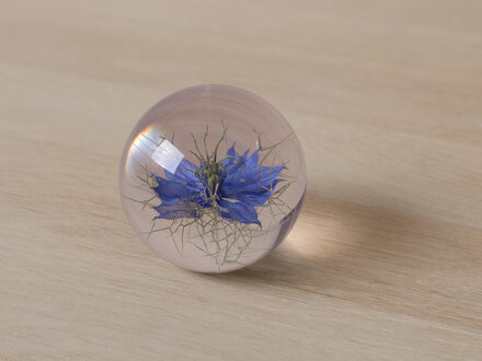 Hafod Grange Paperweight Nigella Paperweight
