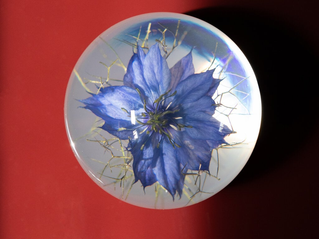 Hafod Grange Paperweight Nigella Paperweight