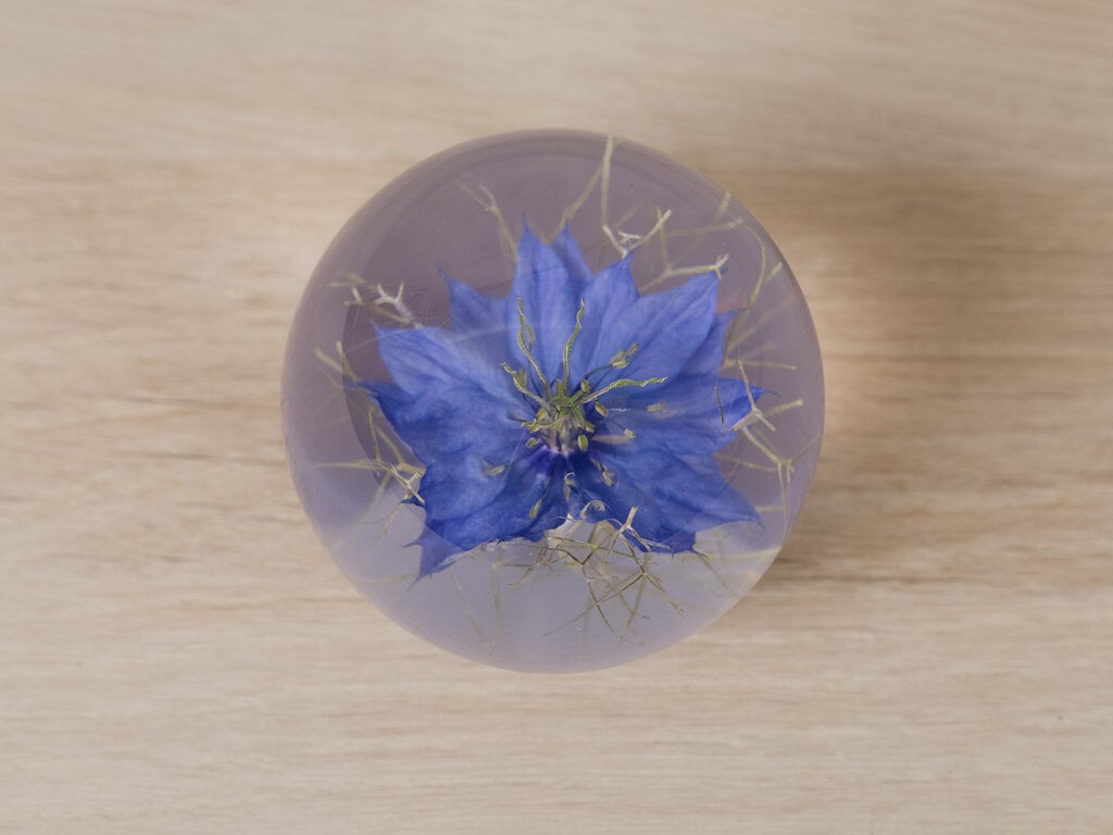 Hafod Grange Paperweight Nigella Paperweight