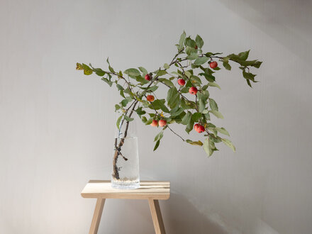 The Gathering Hand The Glassblower's Vase