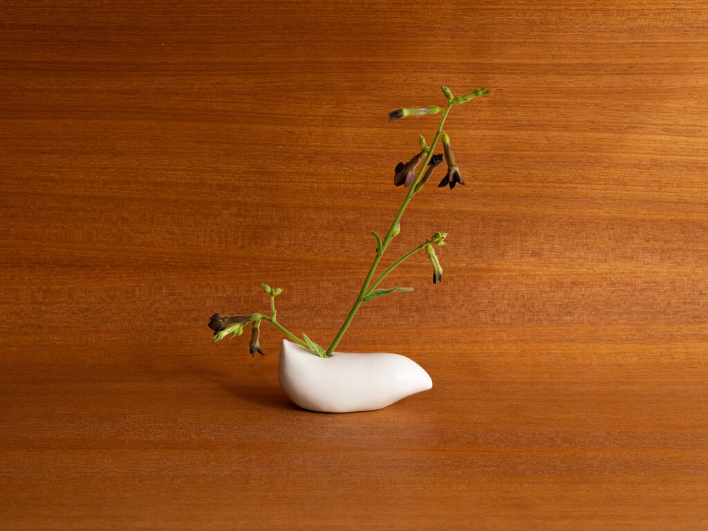 Renaud Sauvé Porcelain Imaginary Fruit Vase No. 37
