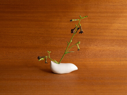 Renaud Sauvé Porcelain Imaginary Fruit Vase No. 37 Renaud Sauvé Porcelain Imaginary Fruit Vase No. 37