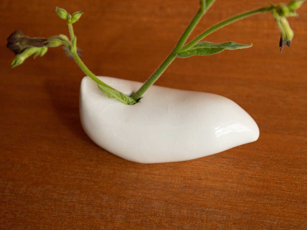 Renaud Sauvé Porcelain Imaginary Fruit Vase No. 37