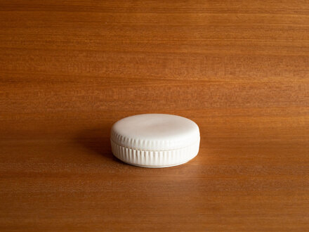 Renaud Sauvé Porcelain Box With Etched Skeleton Lid Renaud Sauvé Porcelain Box With Etched Skeleton Lid