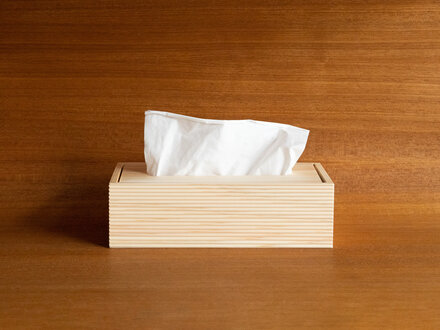 Tosaryu Hinoki Tissue Box Holder