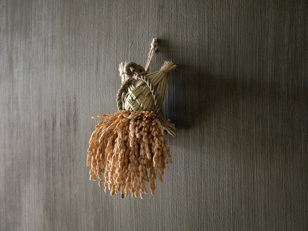 Takubo Small Turtle Braid
