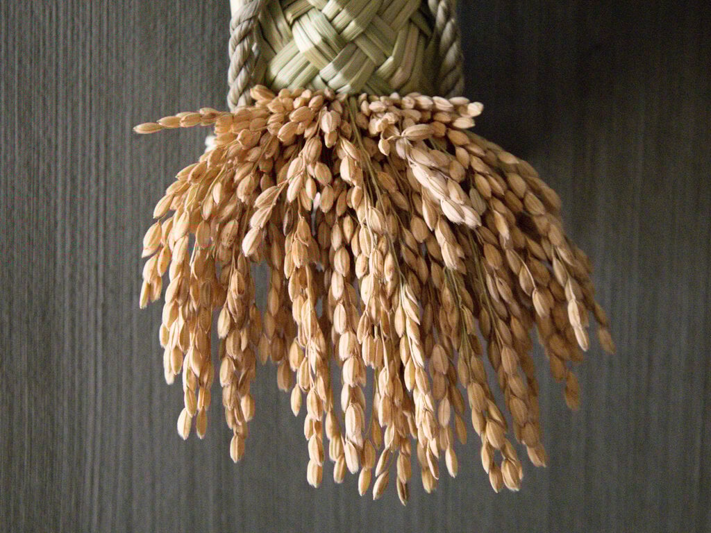 Takubo Small Turtle Braid