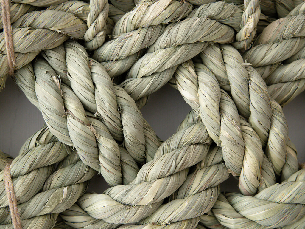 Takubo Yokozuna Sumo Braid