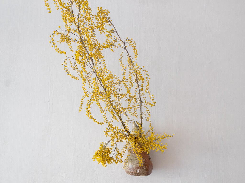 Shiro Tsujimura wall vase