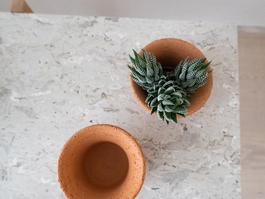 Origin Made Tulipa Planter by Claesson Koivisto Rune (Small)