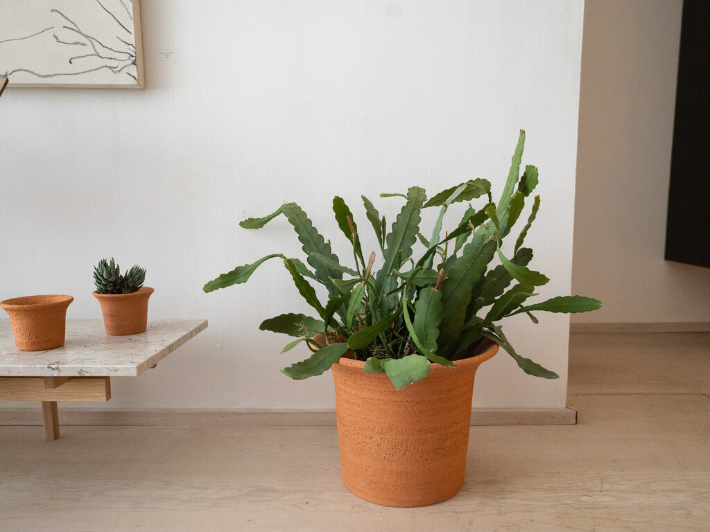 Origin Made Tulipa Planter by Claesson Koivisto Rune (Large)