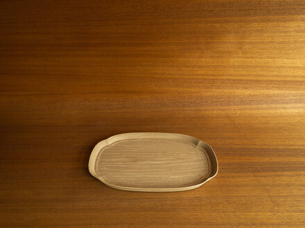 Oji Masanori KITO Flowering Quince Tray (Medium)