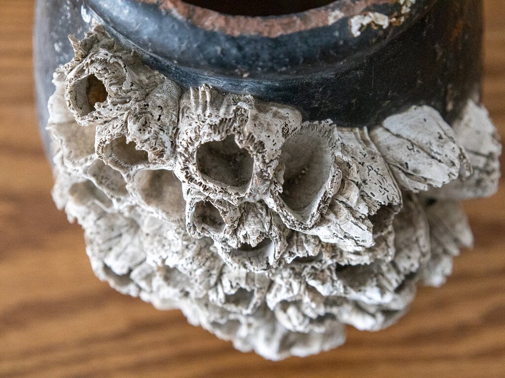 Antique Antique Japanese Octopus jar with black glaze and large barnacles