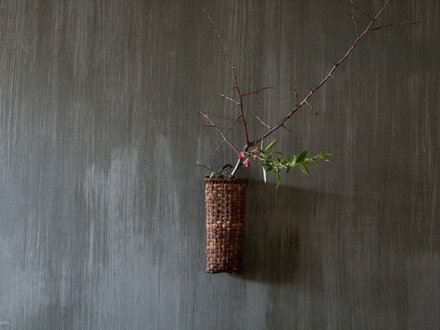 Antique wild grape vine woven wall vase Akebia vine